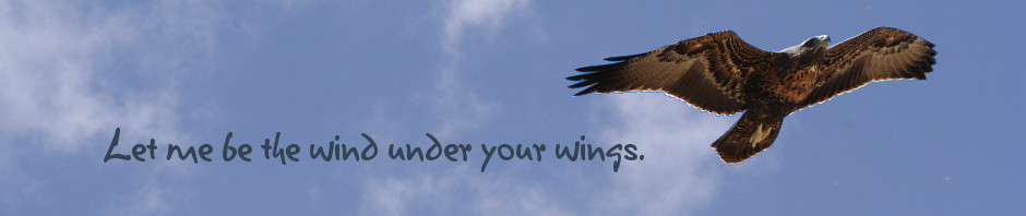 Let me be the wind under your wings.